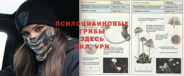 мескалин Алзамай