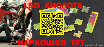 сатива Камышлов