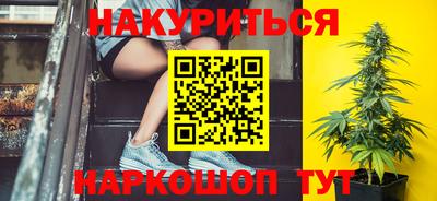 сатива Камышлов