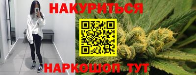 сатива Камышлов
