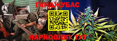 сатива Камышлов