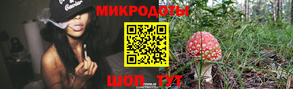 Междуреченск  Псилоцибиновые грибы Psilocybe  Галлюциногенные грибы прущие грибы  Вход с VPN 